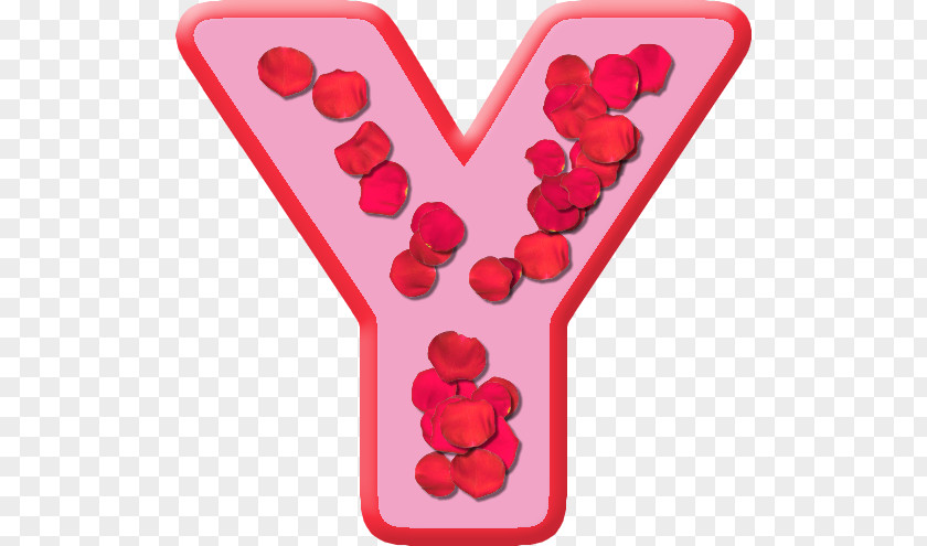 Letter Y English Alphabet Petal PNG