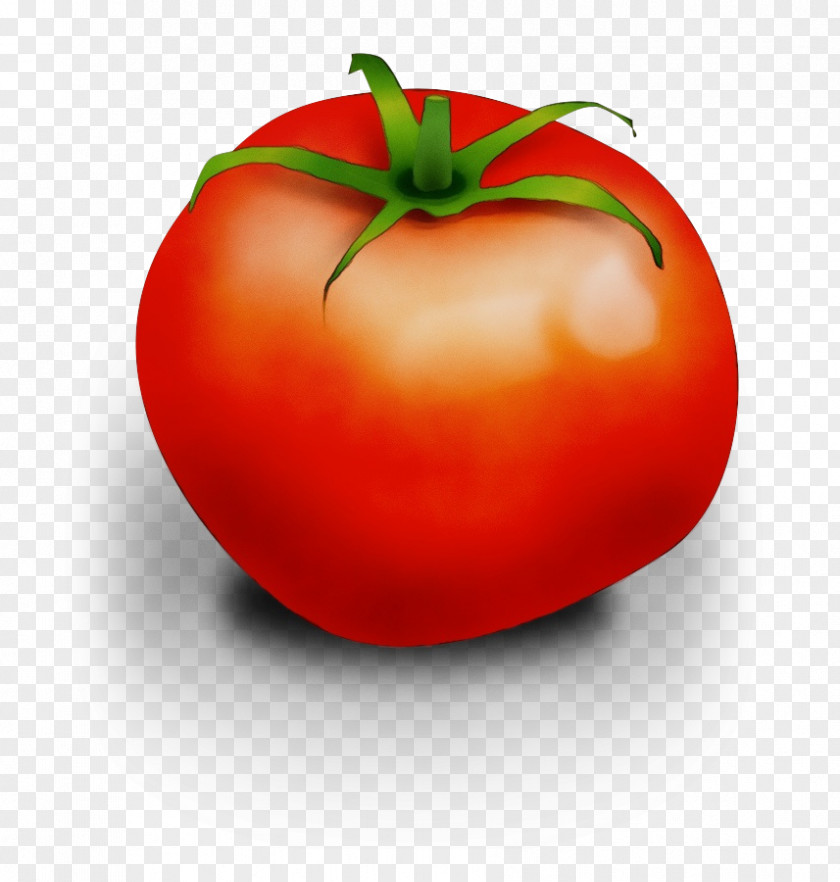 Whole Food Vegetarian Tomato Cartoon PNG