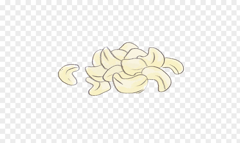 CASHEW Cartoon Petal Flower Clip Art PNG