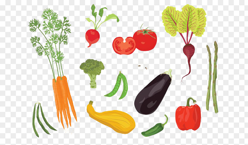 Edible Vegetables Tomato Graphic Design Illustration PNG