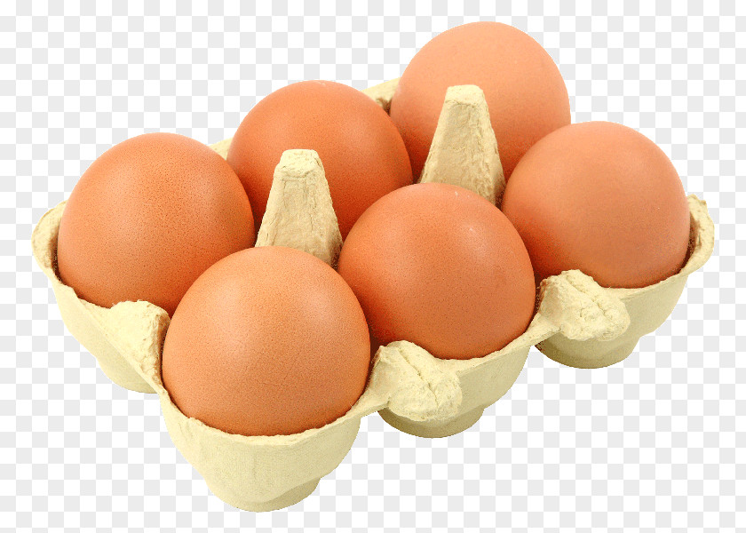 Egg Food Health Cholesterol PNG