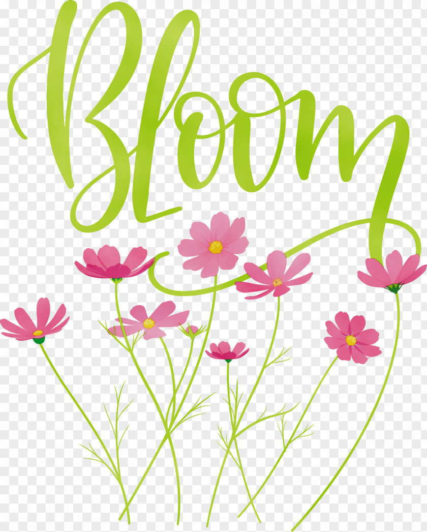 Floral Design PNG