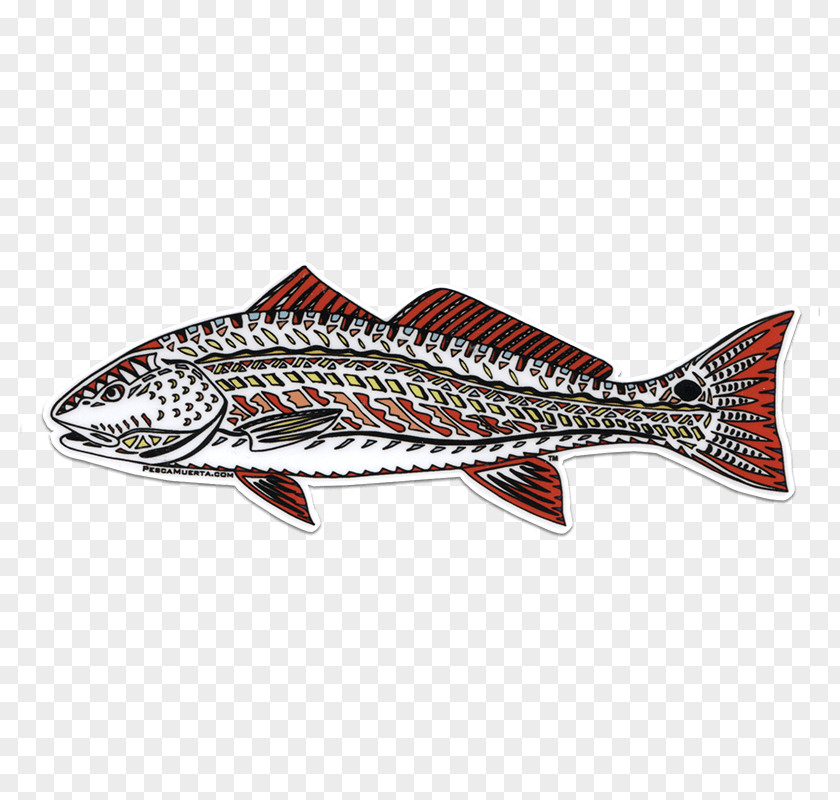 Mackerel PNG