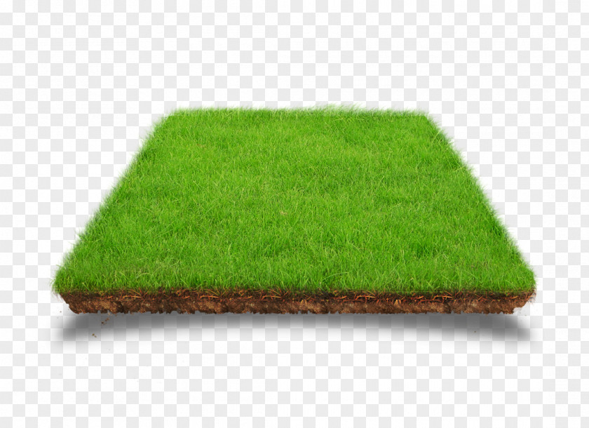Model Lawn Artificial Turf Download PNG
