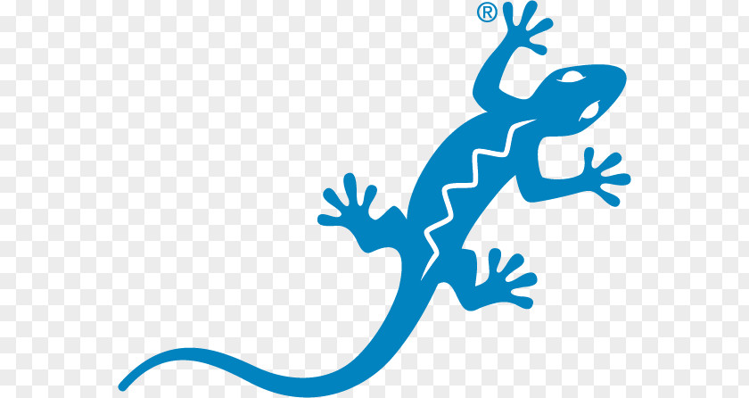 Sensitive Insignia Blue Lizard Australian Sunscreen SPF Logo PNG
