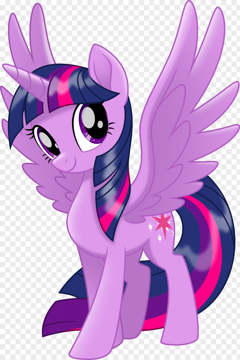 Twilight Sparkle Pony Rainbow Dash Pinkie Pie Rarity PNG