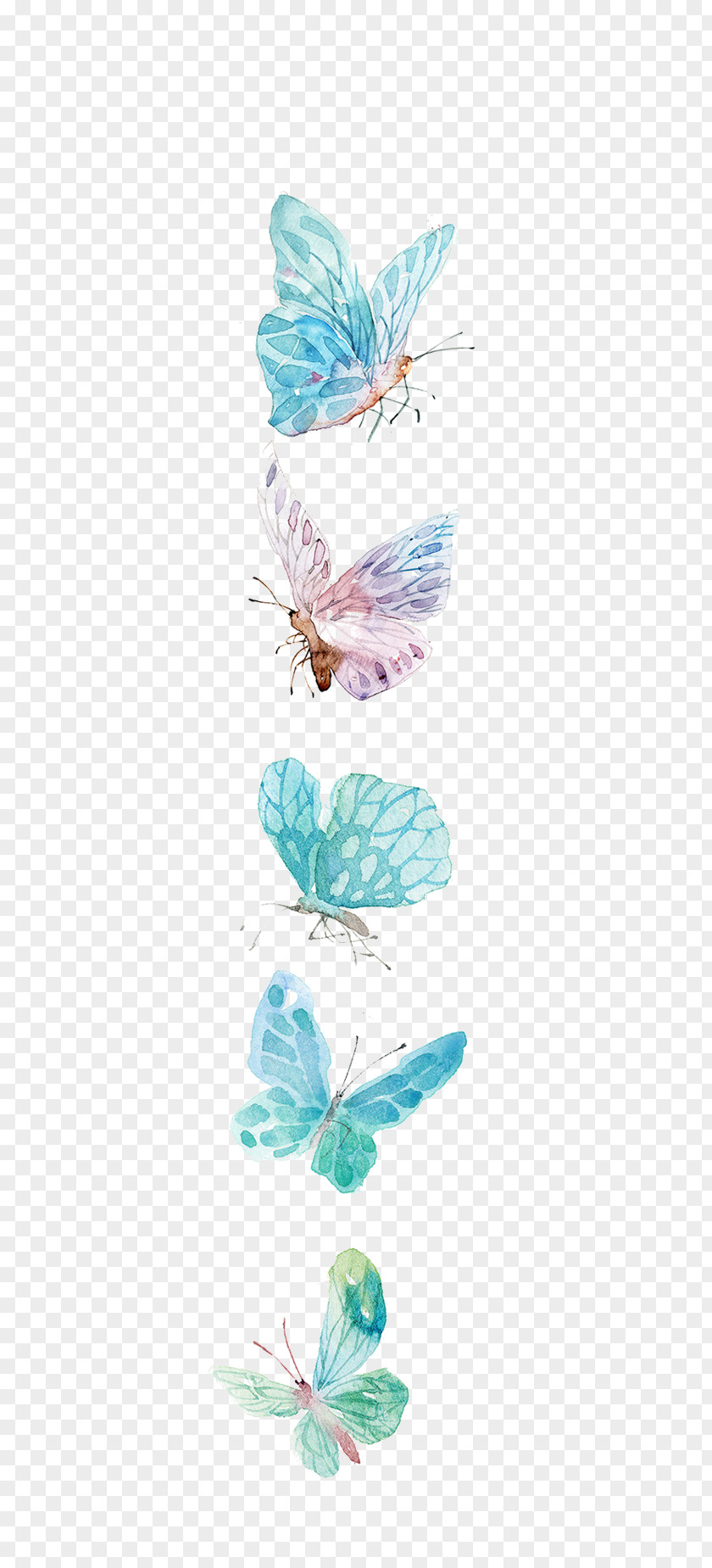 Watercolor Butterfly Icon PNG