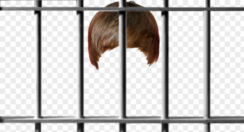 Bar Prison Cell Clip Art PNG