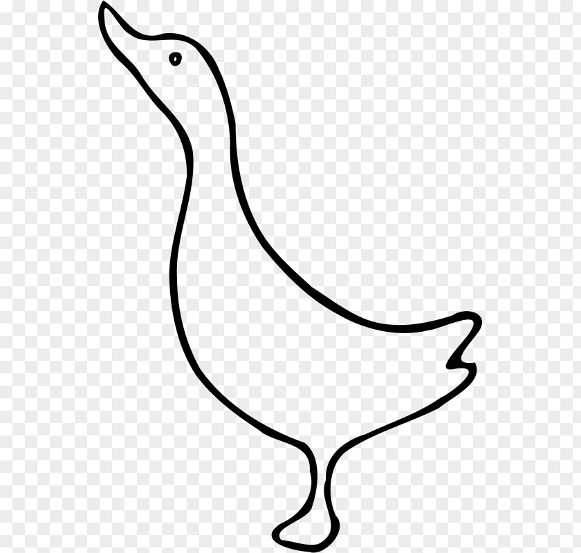 Duck Stencil Goose Clip Art PNG