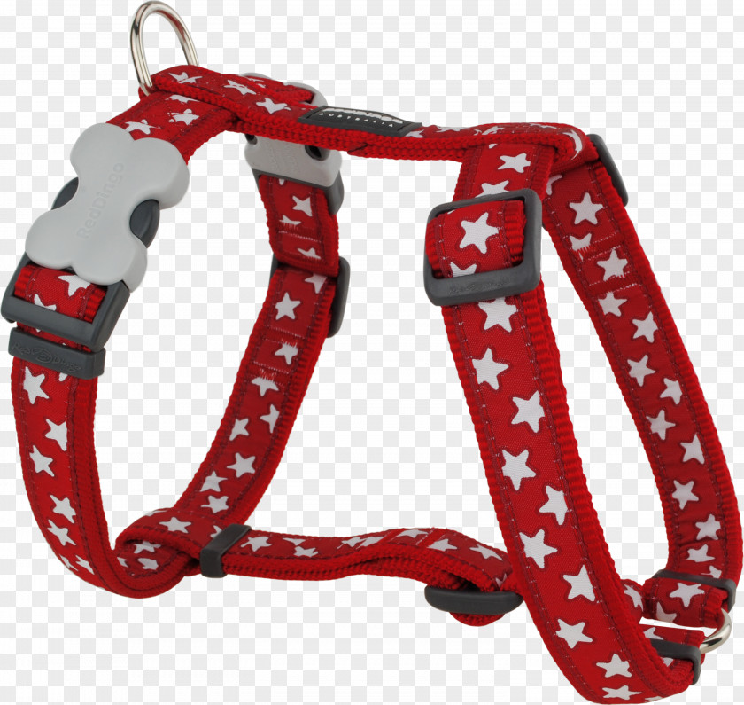 Harness Dog Dingo Puppy Collar PNG