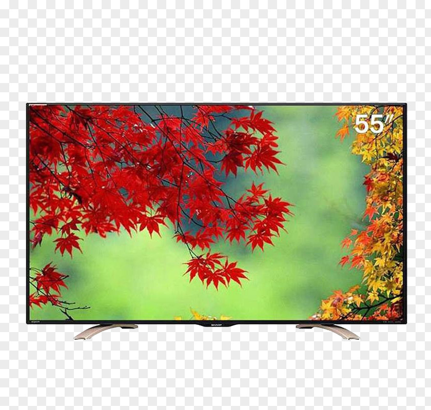 LCD TV Manabang Shan Zhongshan Fragrant Hills Park Jinzi Mountain Maple Leaf PNG