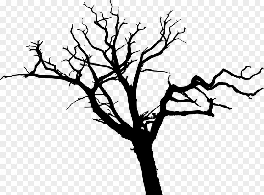 Silhouette Drawing Tree Clip Art PNG