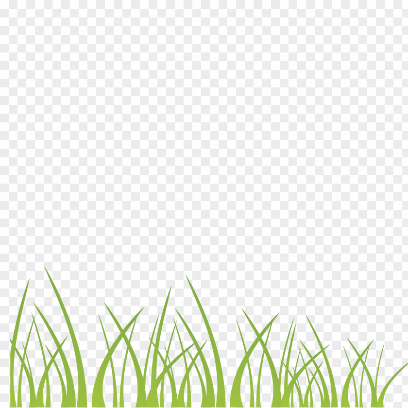 Vector Green Grass Decoration Illustration Background PNG