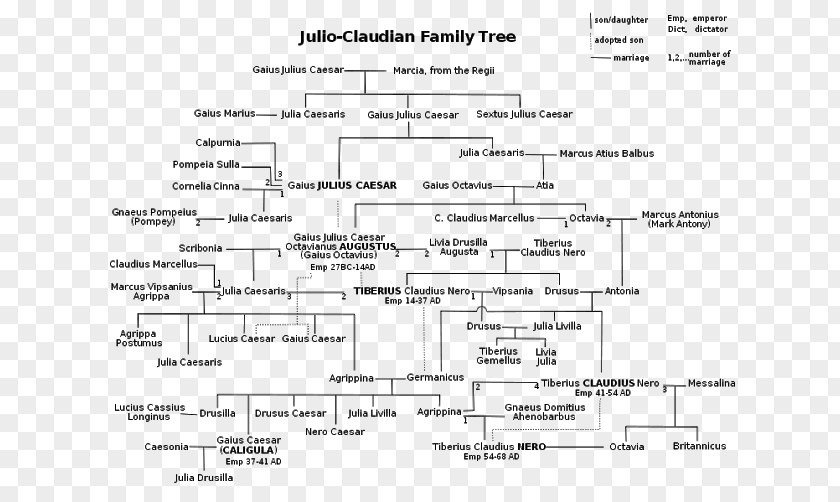Family Principate Julio-Claudian Dynasty Tree Albero Genealogico Giulio-claudio PNG
