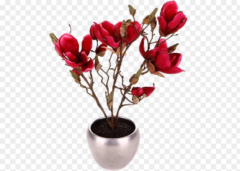 Flower Magnolia Flowerpot Crock Plant PNG