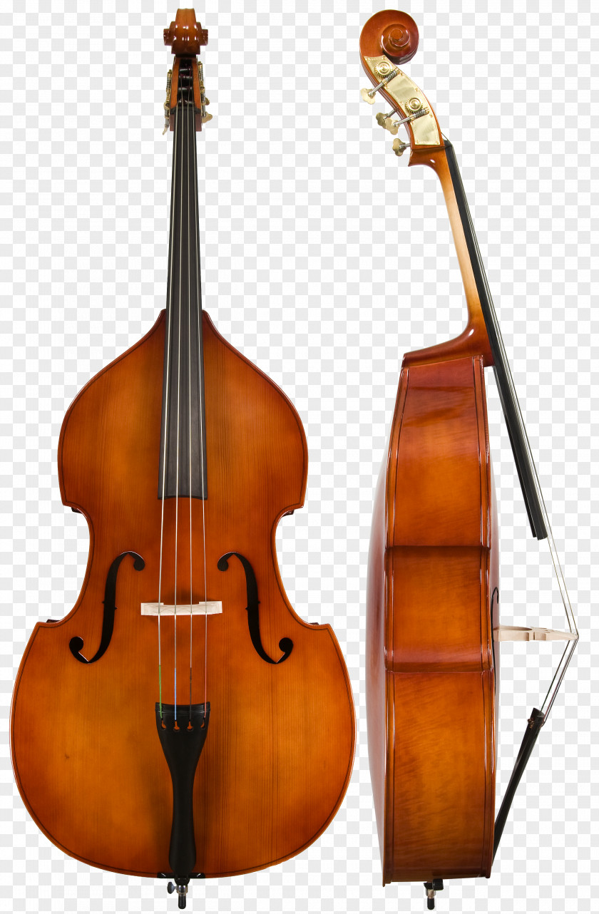 Trombone Double Bass Guitar String Instruments Bassist PNG
