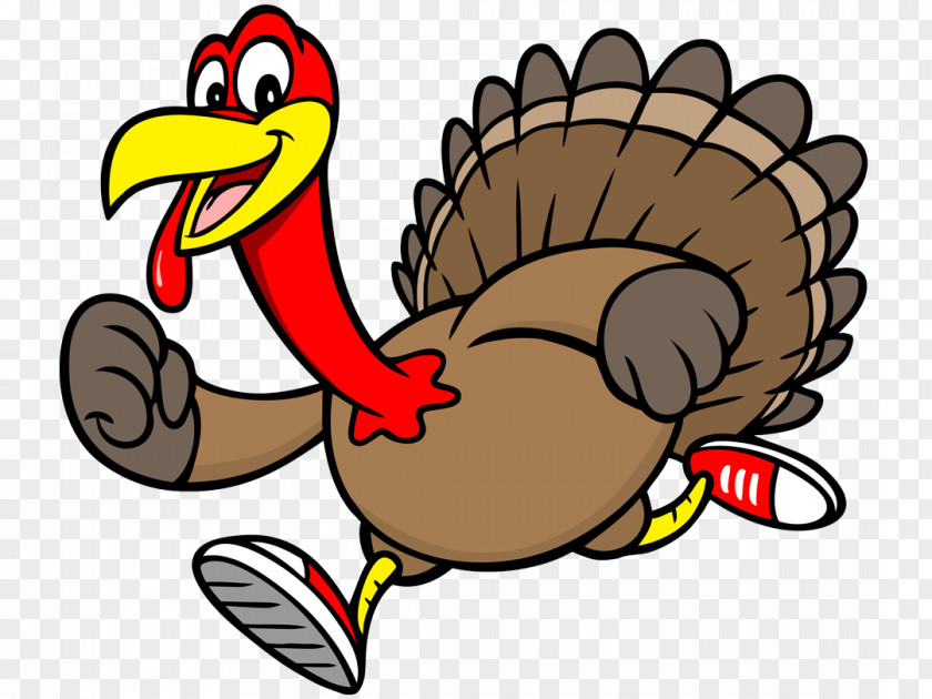 Turtle Running Turkey Trot Thanksgiving 5K Run Clip Art PNG