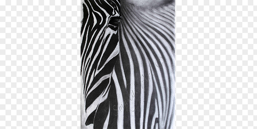 Wash Away The Dust Zebra White Shoulder Sleeve PNG