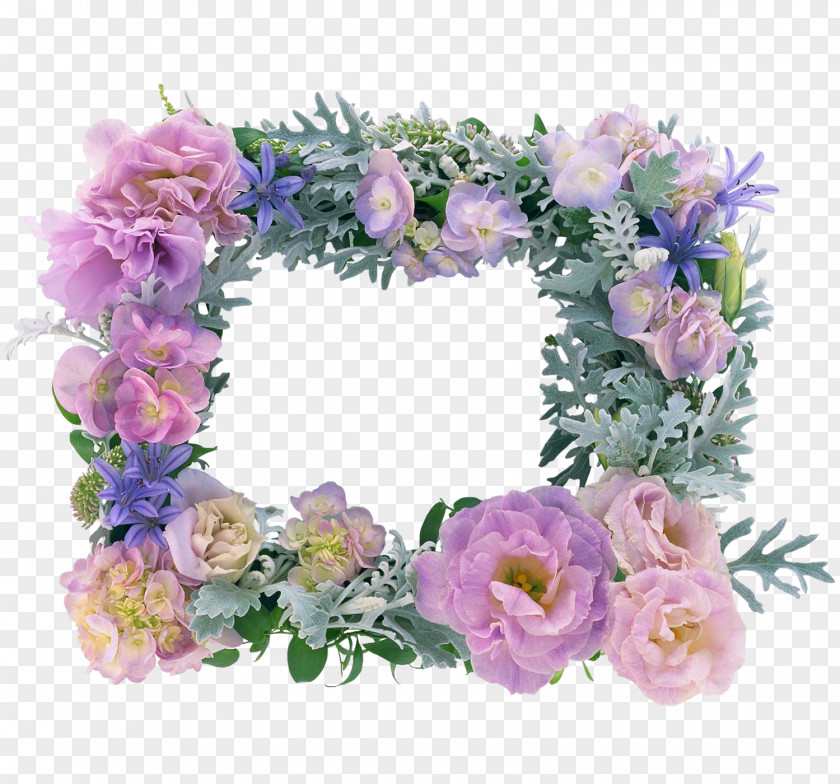 Foto Picture Frames Flower Photography Tableau PNG