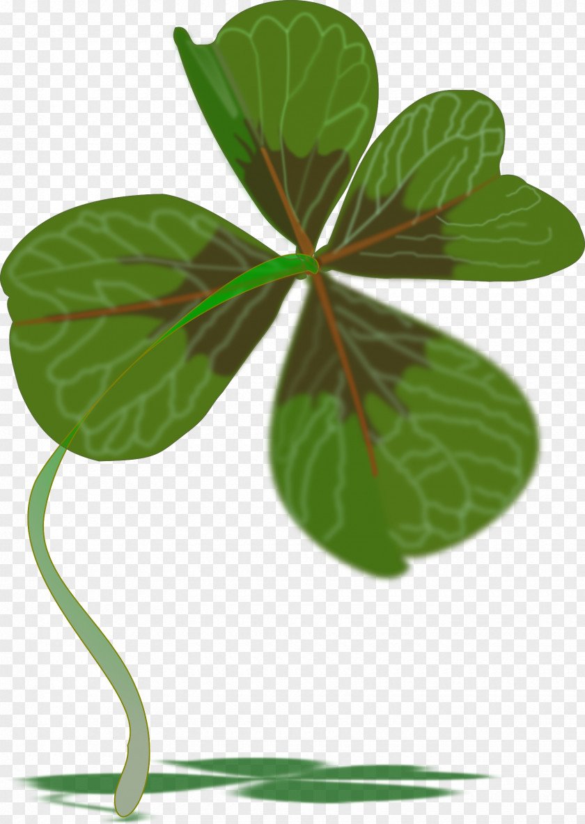 Hand Painted Plants Luck Four-leaf Clover Clip Art PNG