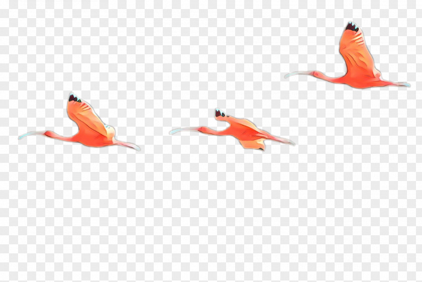 Koi Flamingo Orange PNG