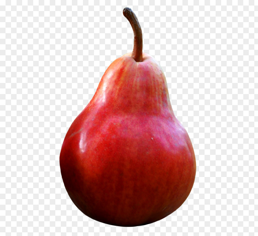 Red Plums Comice Pears D'Anjou Accessory Fruit Apple PNG
