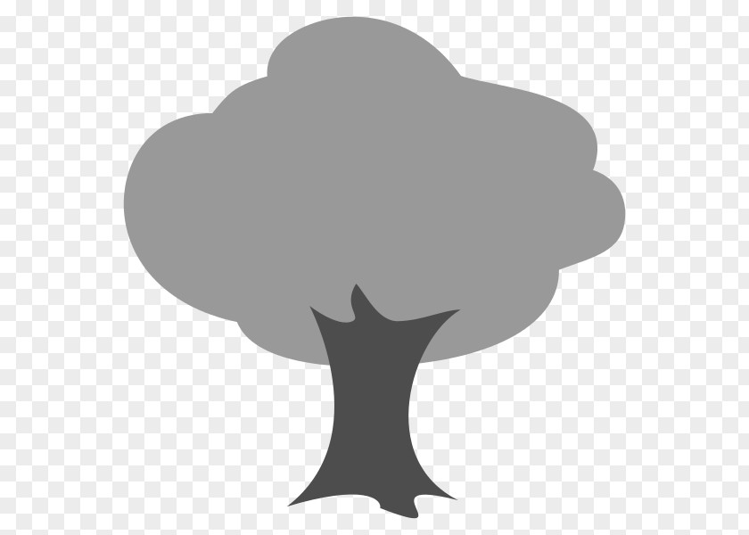 Tree Gray Branch Drawing Twig PNG