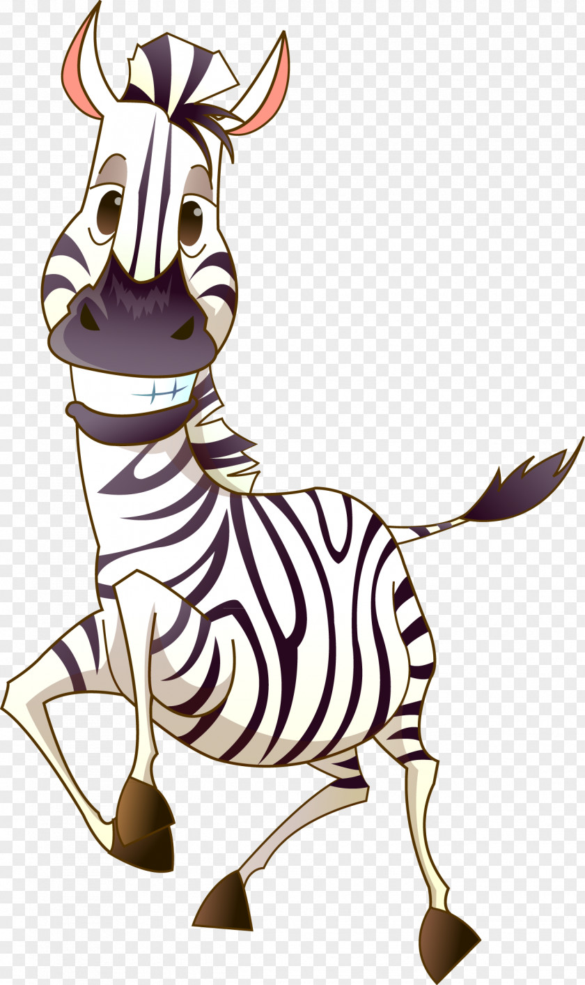 Funny Zebra Photography Clip Art PNG