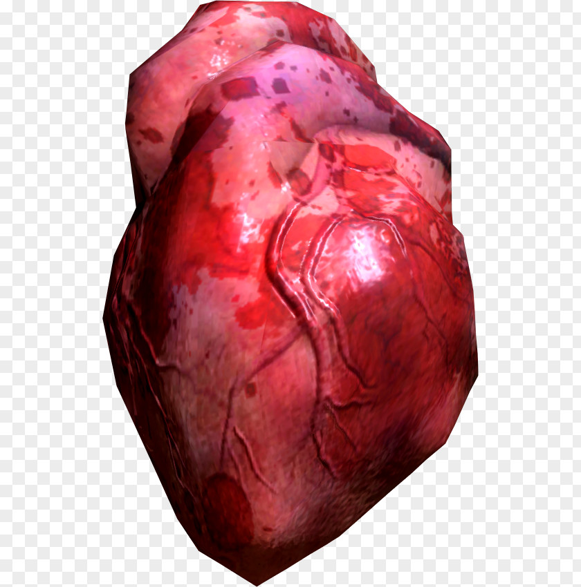 Heart Human Body Clip Art PNG