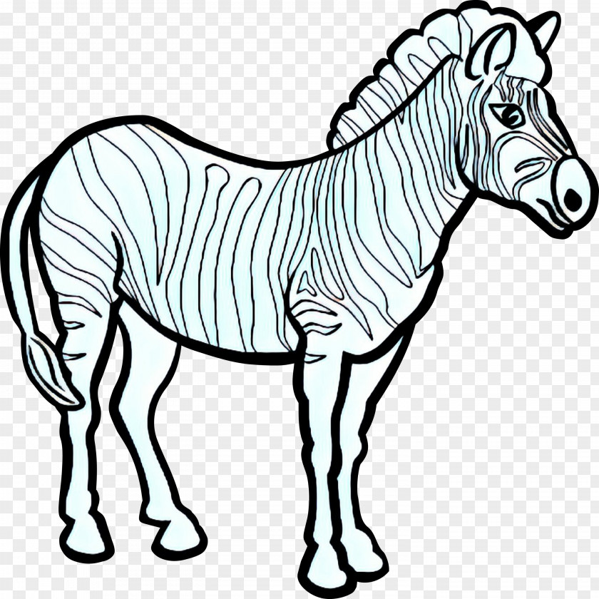 Pony Sorrel Zebra Cartoon PNG