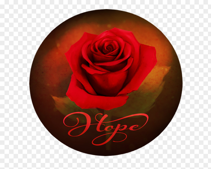 Rose Garden Roses Petal RED.M PNG