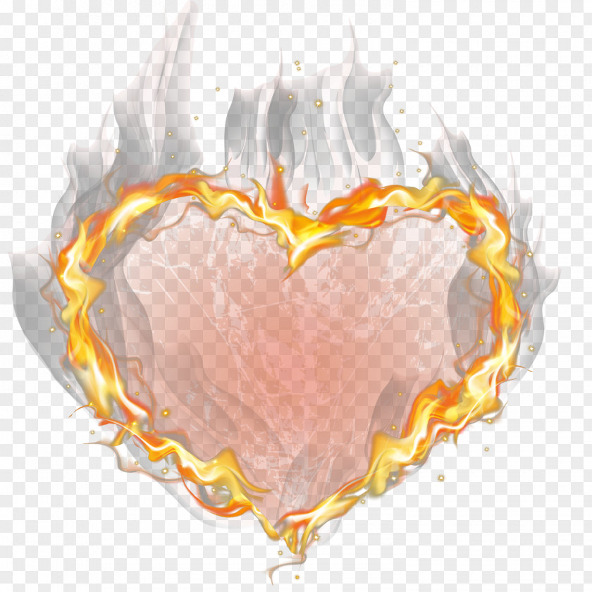 The Flame Decorative Material Heart Vector Font PNG