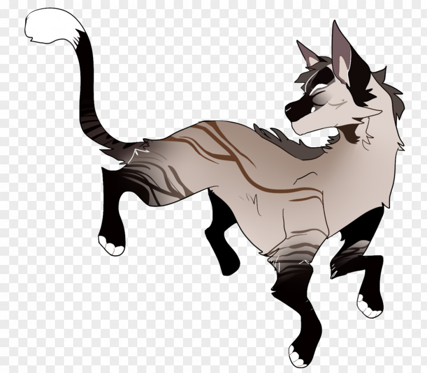 Cat Whiskers Horse Dog Canidae PNG