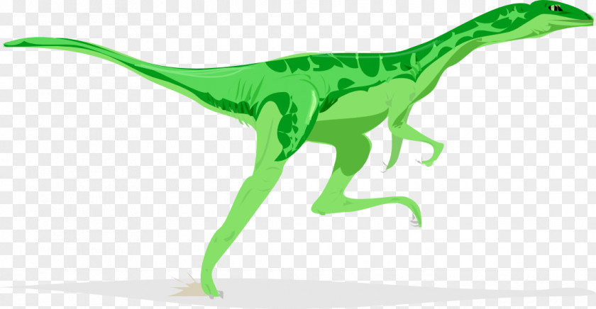 Dragon Pictures Art Velociraptor Stegosaurus Triceratops Tyrannosaurus Dinosaur PNG