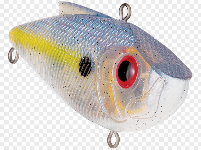 Fishing Plug Baits & Lures Spoon Lure Bass PNG