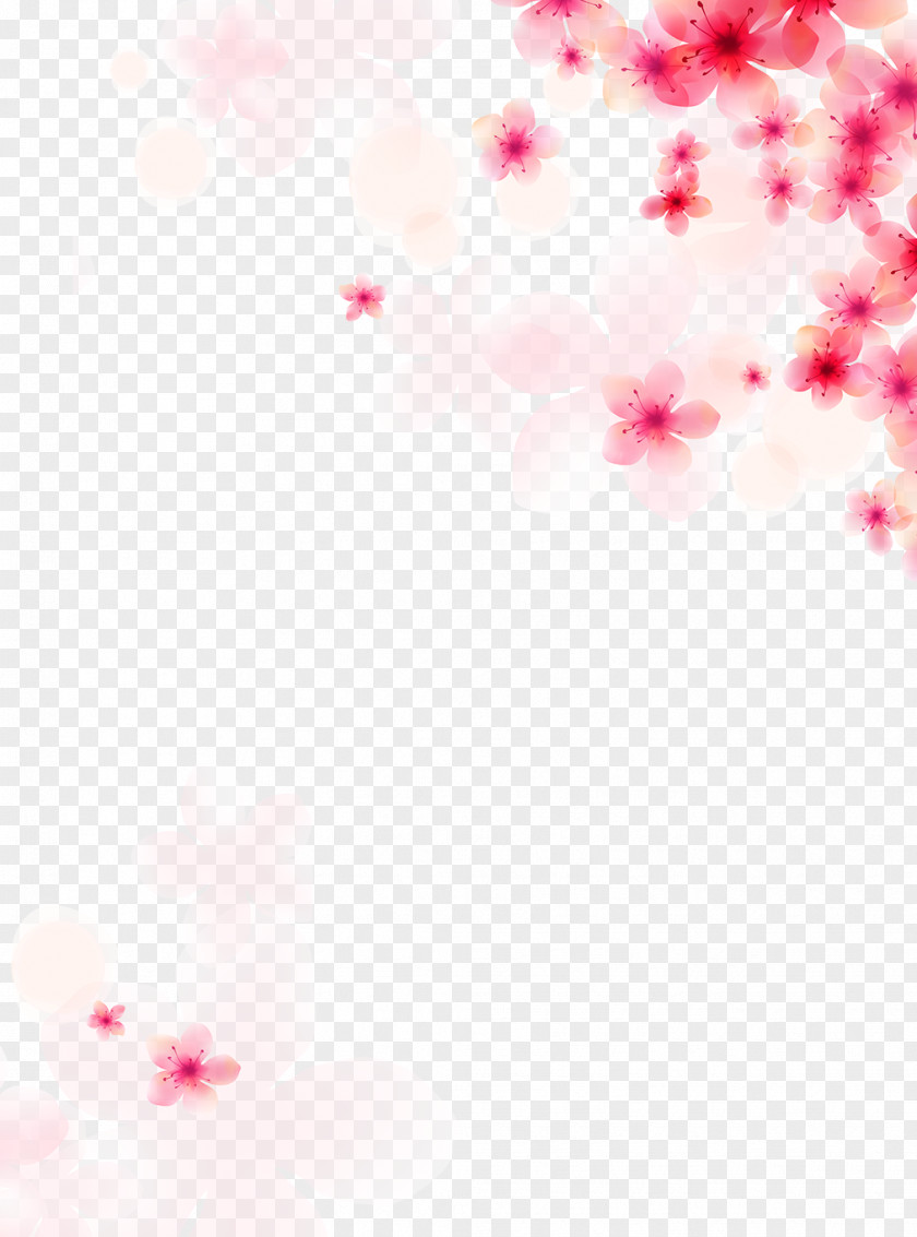Floral Background Wedding Euclidean Vector Wallpaper PNG