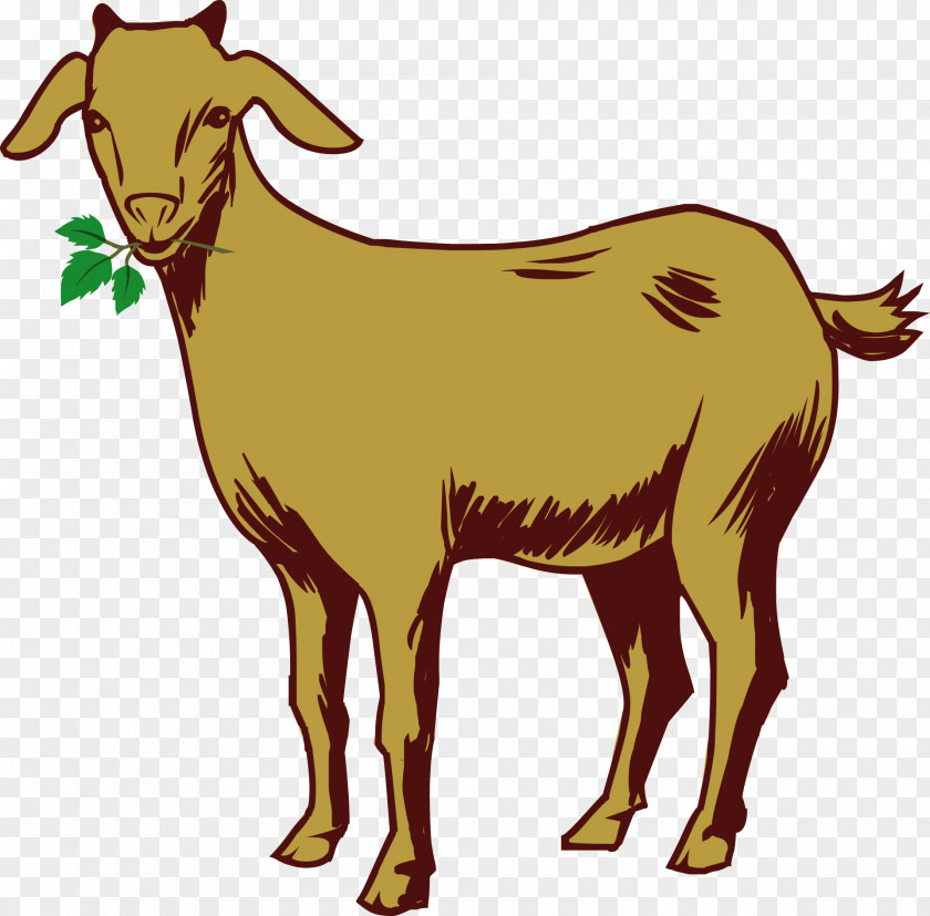 Goat Kinder Sheep PNG