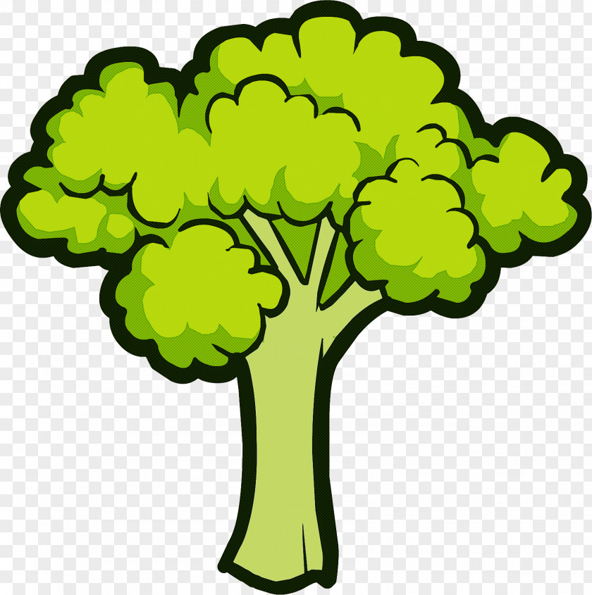 Green Plant Leaf Vegetable Tree Broccoli PNG