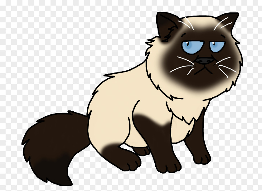 Himalayan Cat Whiskers Kitten Dog Canidae PNG