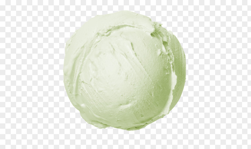 Ice Cream Capitata Group PNG