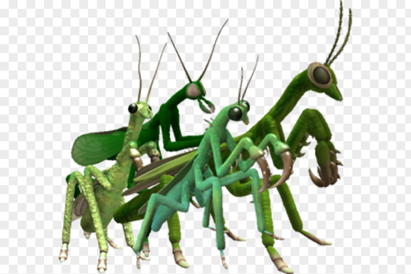 Insect Mantis Spore Creatures Creature Creator Spore: Galactic Adventures Hero PNG