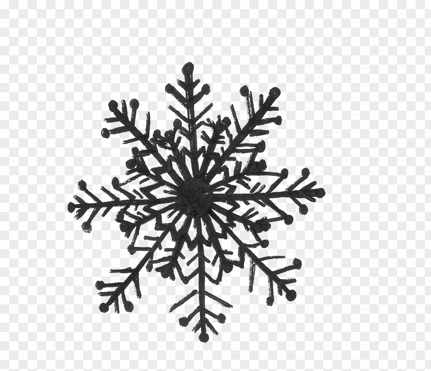 Snowflakes Black And White Visual Arts Monochrome Pattern PNG