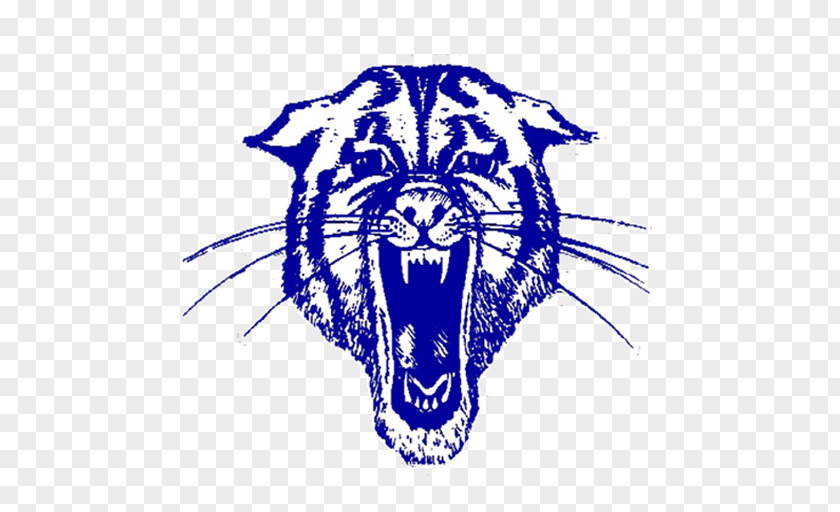 Tiger Hector High School Wildcat Bigelow PNG
