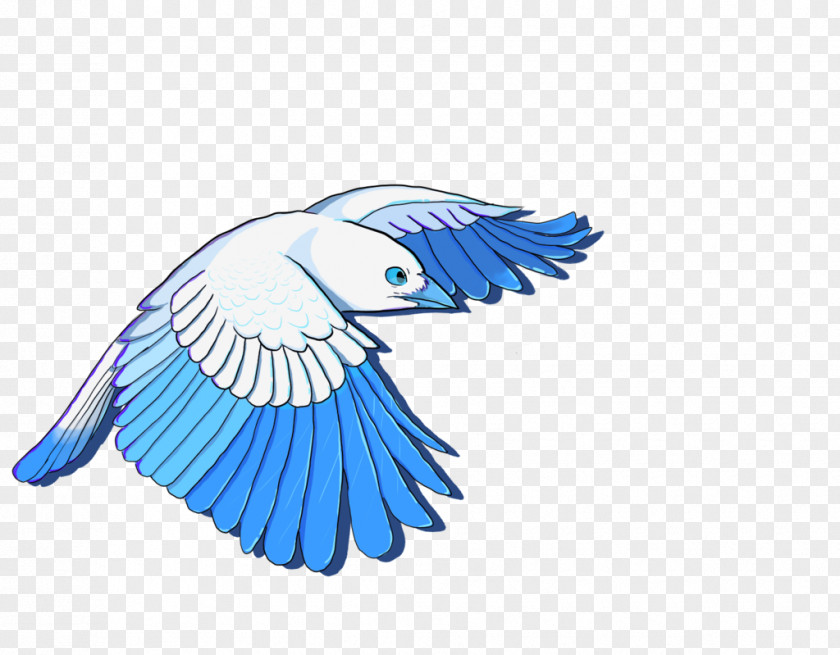 Bird Macaw Parakeet Beak Feather PNG