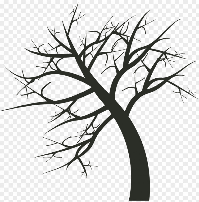 Illustration Graphics Adobe Illustrator Twig PNG