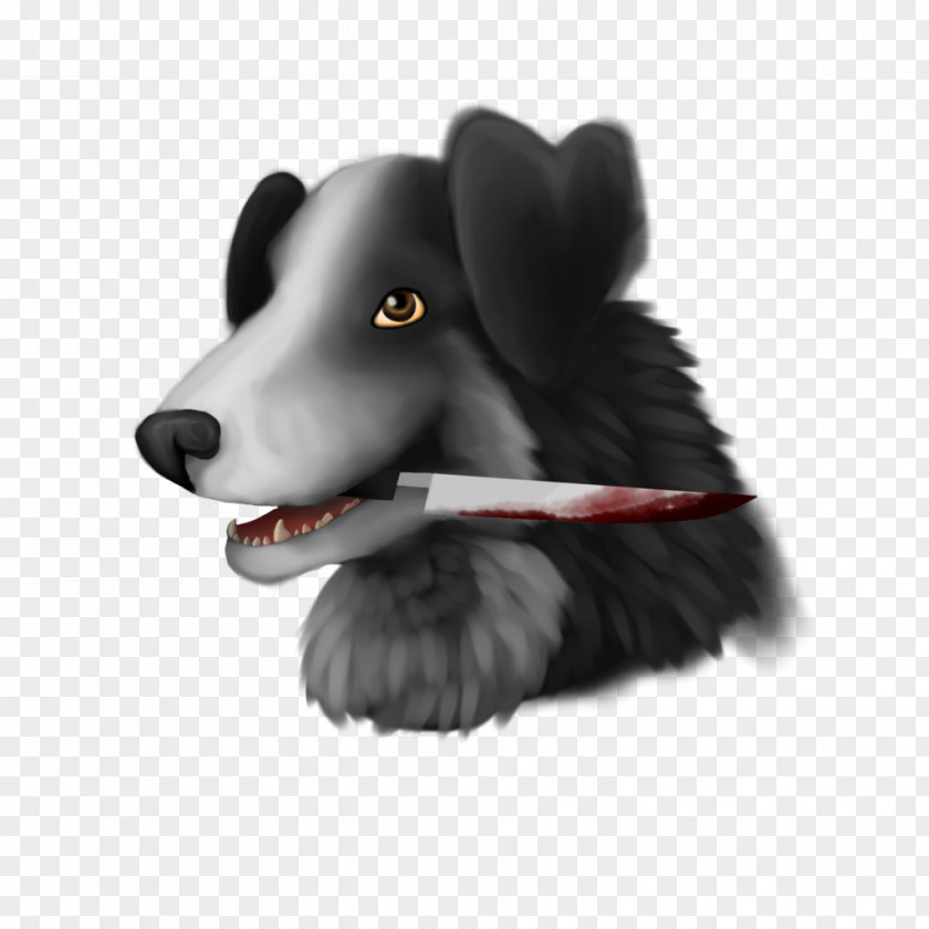 Mr Pickles Border Collie Dog Breed Fan Art Painting PNG