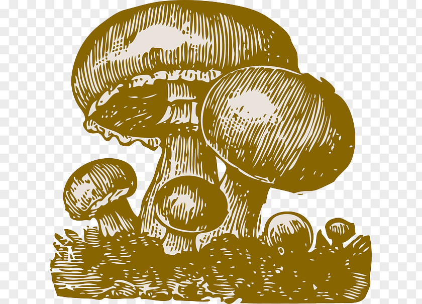 Mushroom Fungus Clip Art PNG