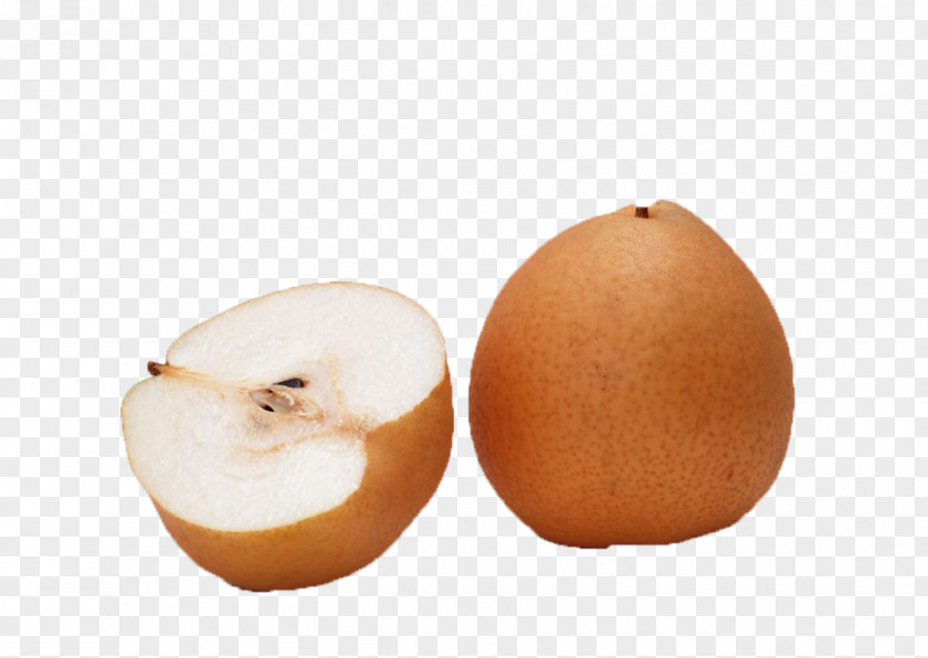 Pear European Fruit Computer File PNG