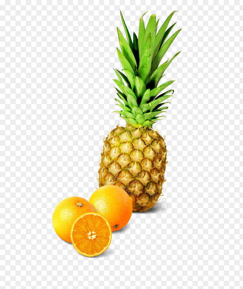 Pineapple Oranges Bun Orange Fruit PNG