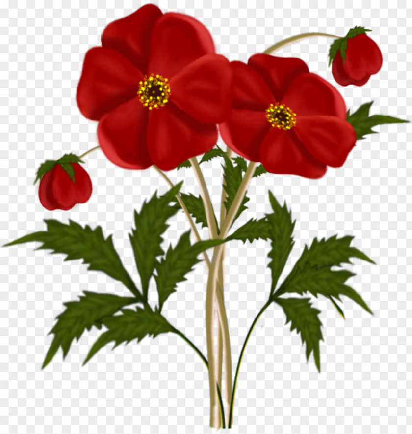 Red Flowers Cliparts Flower Clip Art PNG